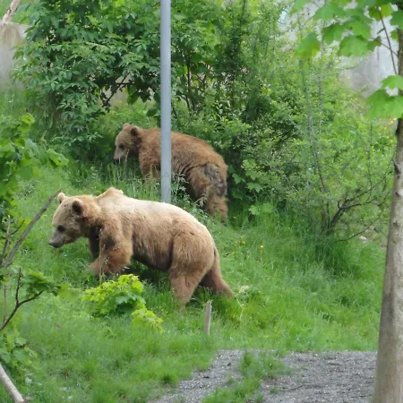 Ruhiger Vorort Bern Kostenloses Parken 6km Zentrum