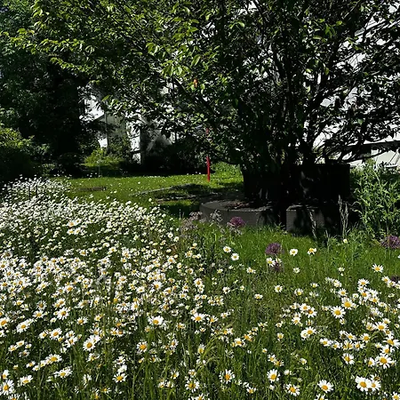 Ruhiger Vorort Bern Kostenloses Parken 6km Zentrum * Zollikofen
